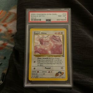 PSA 8 Korea’s ditto